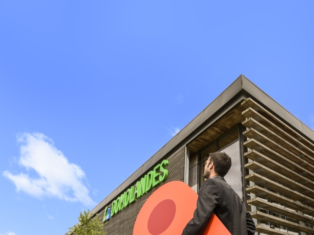 creation site internet vitrine agence communication dax domolandes 3