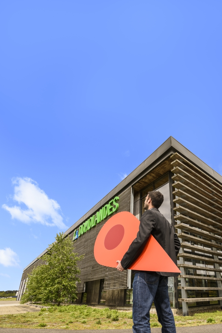 creation site internet vitrine agence communication dax domolandes 3