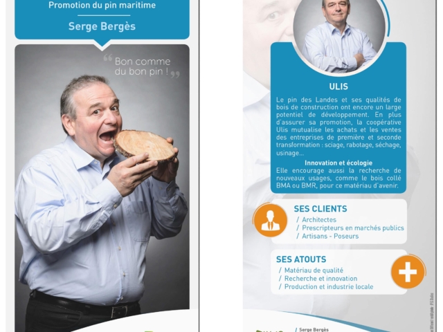 creation flyer agence communication dax domolandes 2