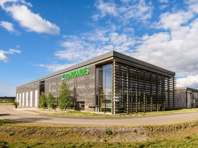 creation newsletter agence communication landes domolandes main