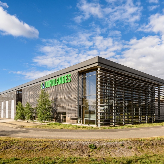 creation newsletter agence communication landes domolandes main