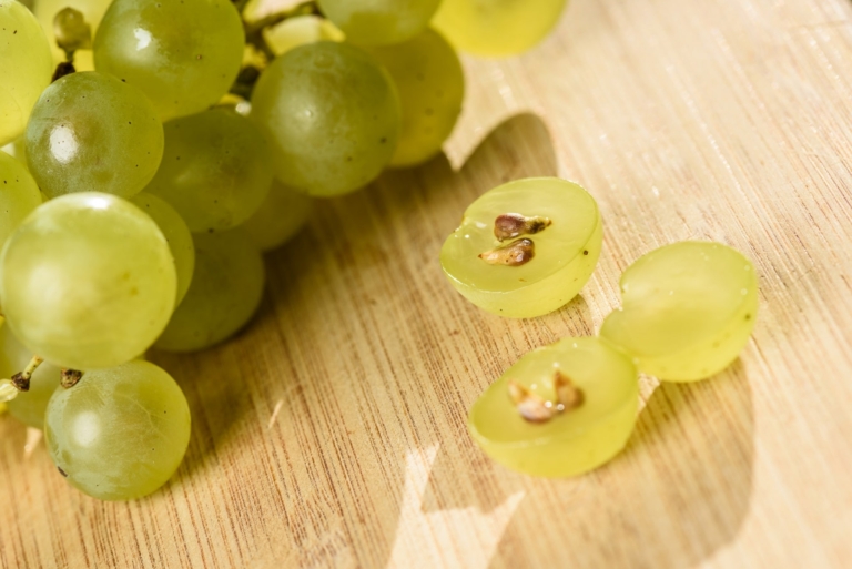 agence communication graphisme web redaction conseil realisations vitaflavan 3