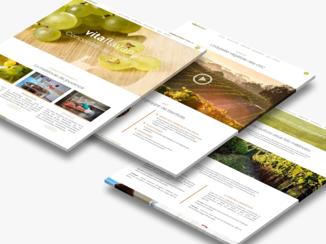 agence de communication landes dax vitaflavan