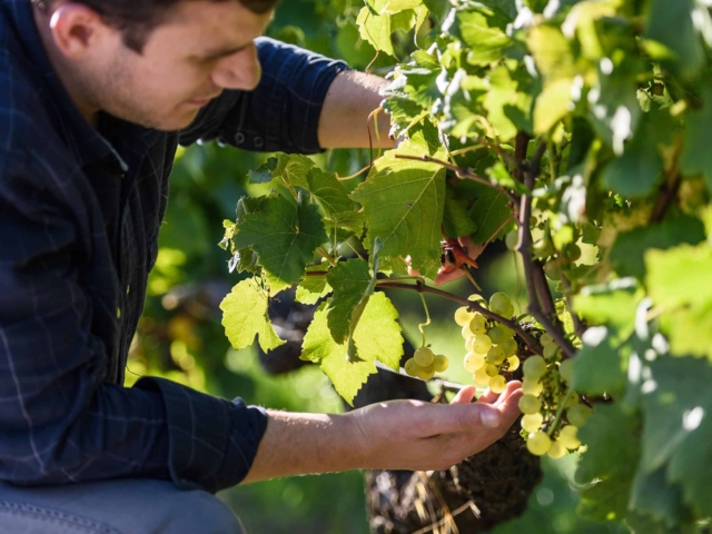 agence de communication landes dax vitaflavan photos 2