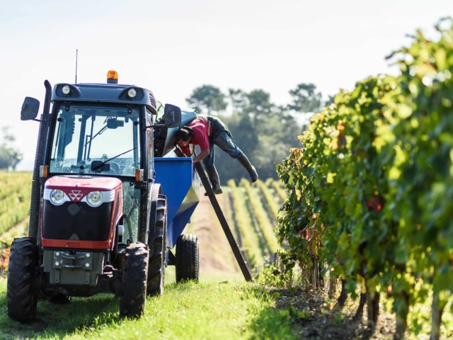 agence de communication landes dax vitaflavan photos 5