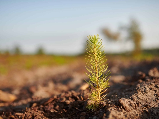 agence de communication landes dax oligopin photos 2