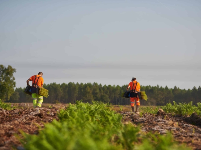 agence de communication landes dax oligopin photos 3
