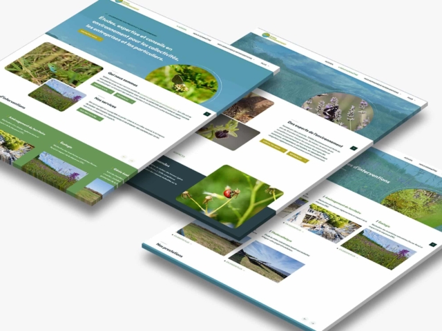 agence de communication landes dax terra environnement
