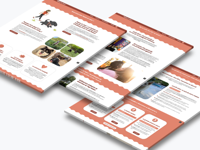 Présentation d'un service pour animaux de compagnie.